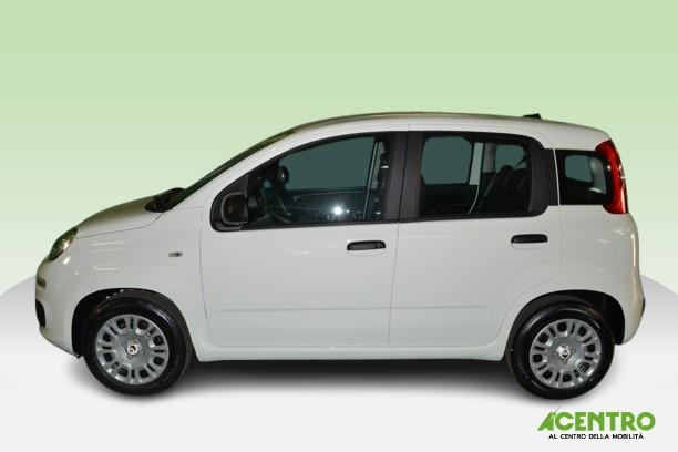 FIAT PANDA - PANDA 1.0 70CV HYBRID ICON