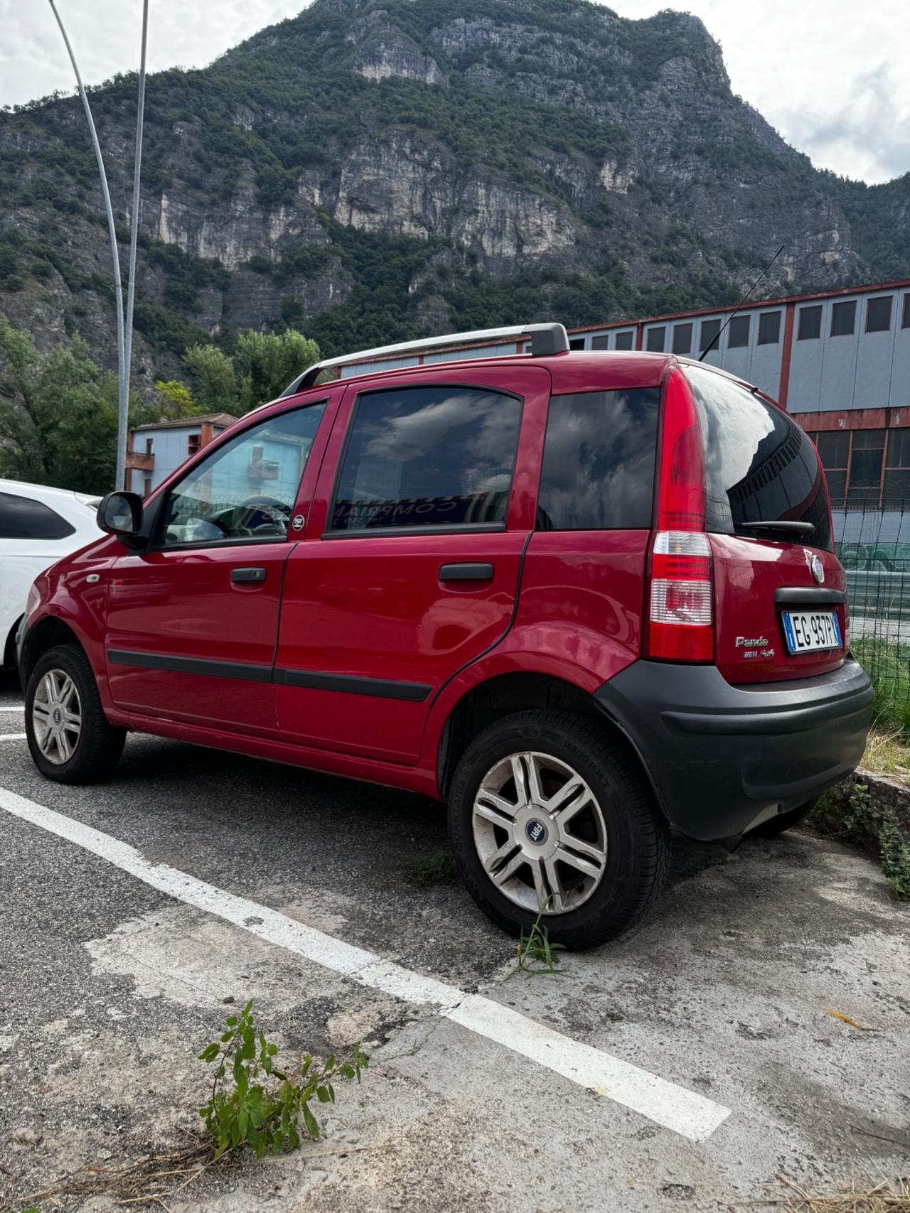 Fiat Panda 1.3 MJT 4x4 Van Active Trekking 2 posti