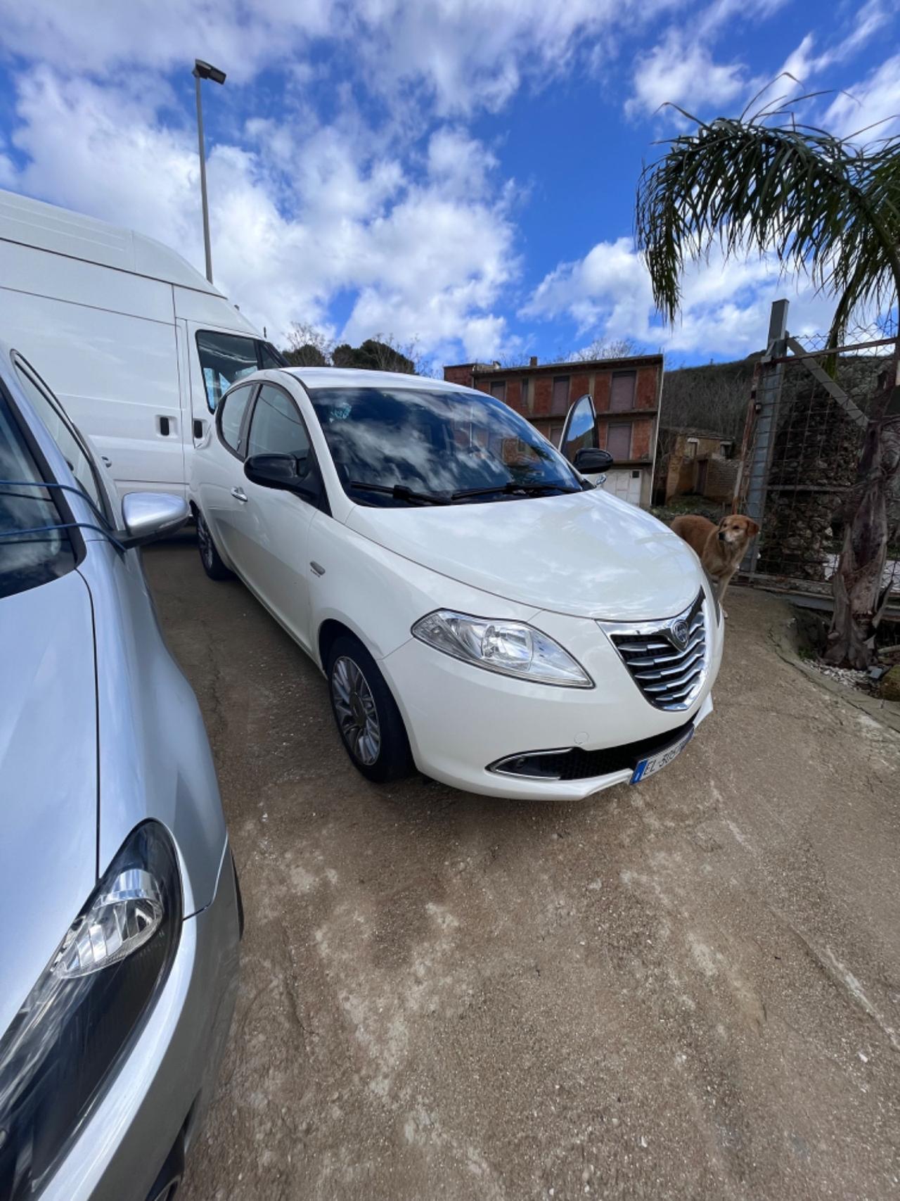 Lancia Ypsilon 1.3 MJT 16V 95 CV 5 porte S&S Silver