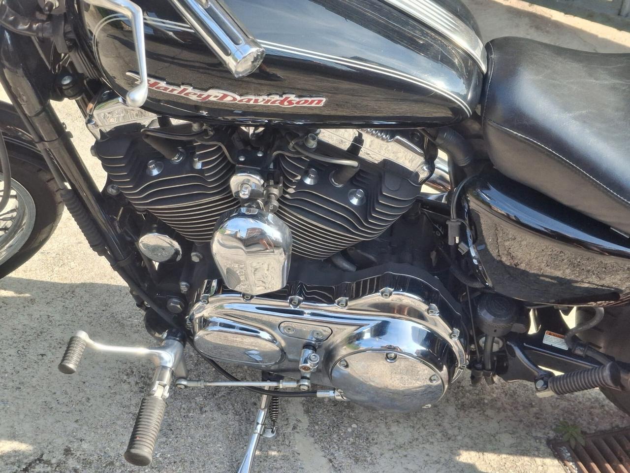 Harley-davidson 1200 Sportster Custom