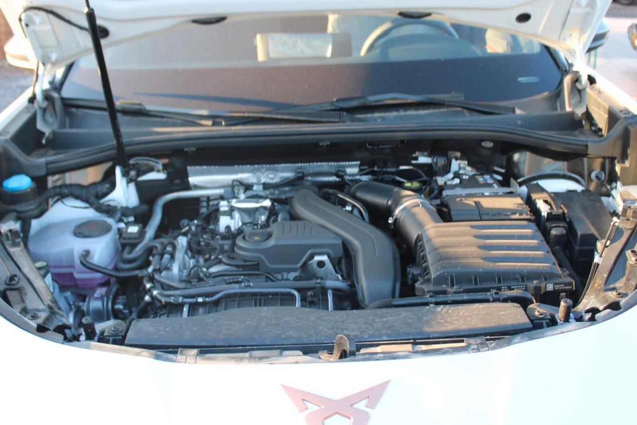 Cupra Terramar Tua A SOLI 599€ al mese Anticipo Zero