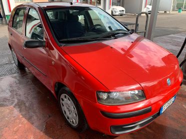 Fiat Punto 1.2i cat 5 porte, adatta a Neopatentato