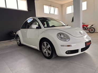 Volkswagen New Beetle 1.9 TDI 105CV