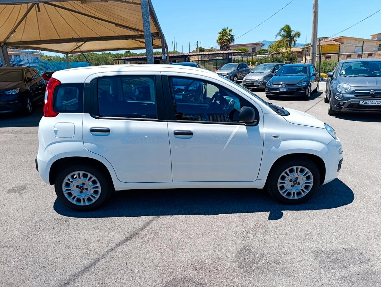 Fiat Panda 1.2 cc 69 cv 2019