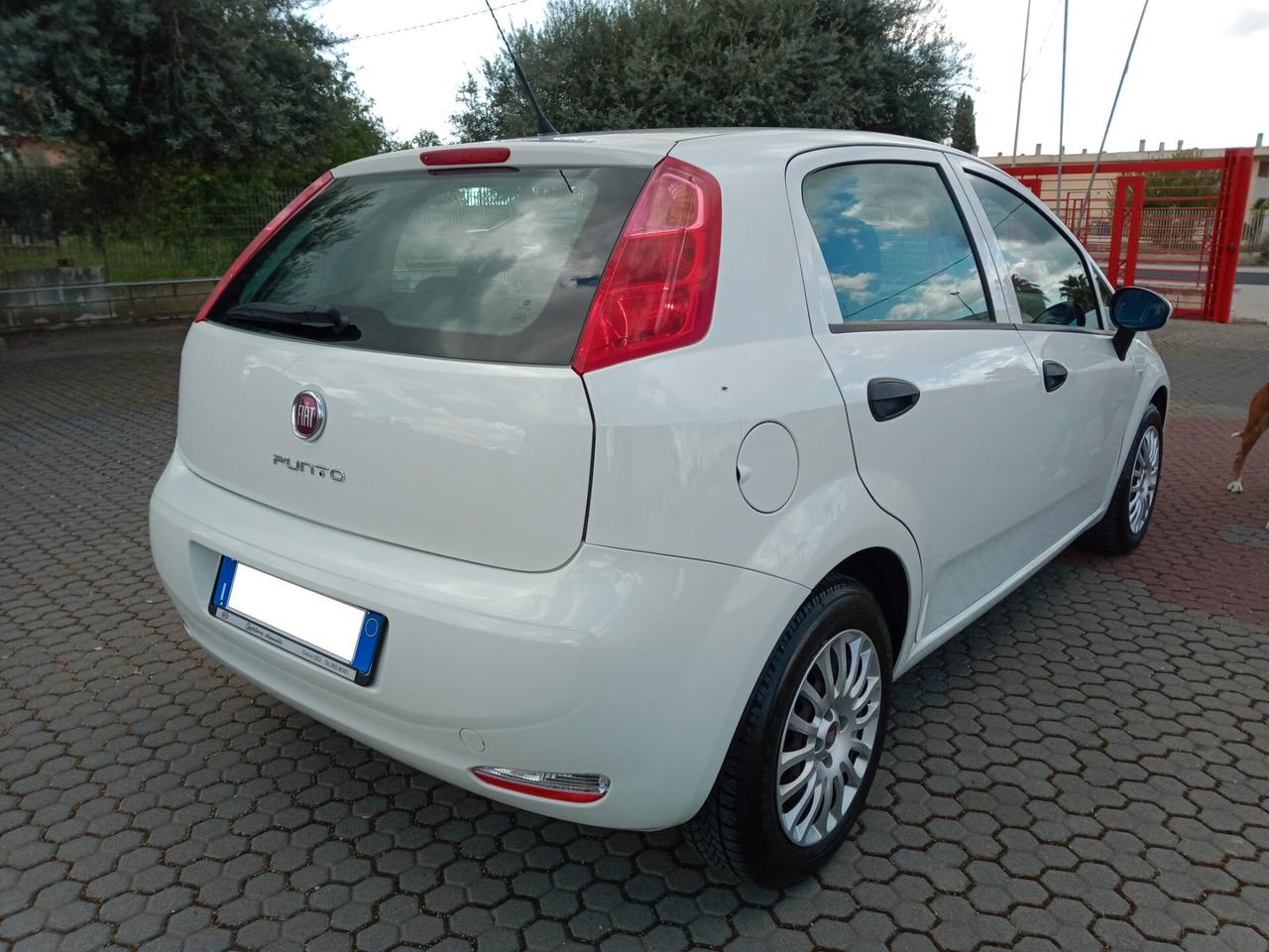 Fiat Punto 1.3 MJT II S&S 95 CV 5 porte Street