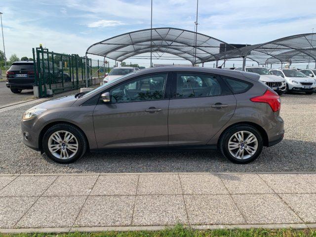 FORD Focus 1.6 125 CV Titanium
