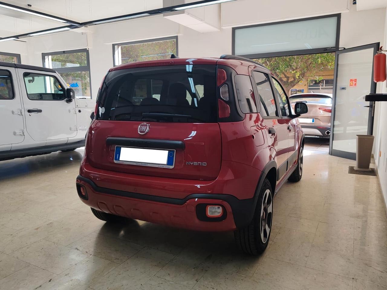 Fiat Panda Cross 1.0 FireFly S&S Hybrid Vari Colori