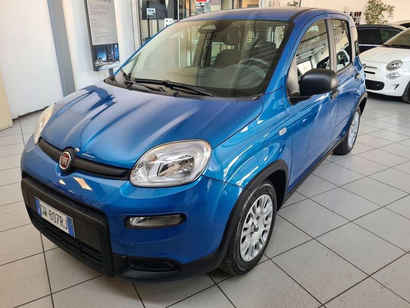 FIAT Panda 1.0 FireFly 70cv S&S Hybrid Pandina