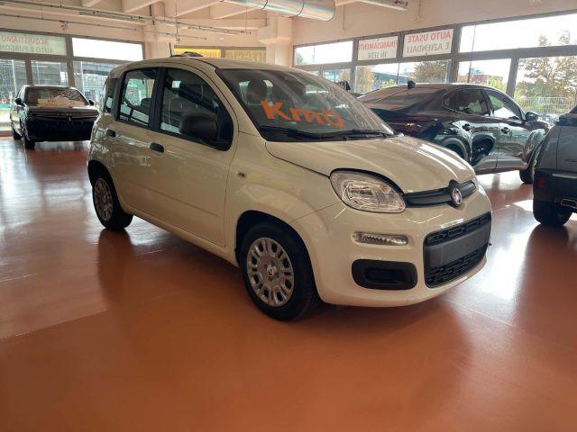 FIAT Pandina 1.0 FireFly 65 CV Hybrid Icon