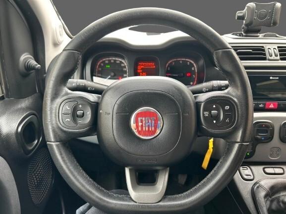 Fiat Panda 1.2 Benz 69 cv LOUNGE S&S my19