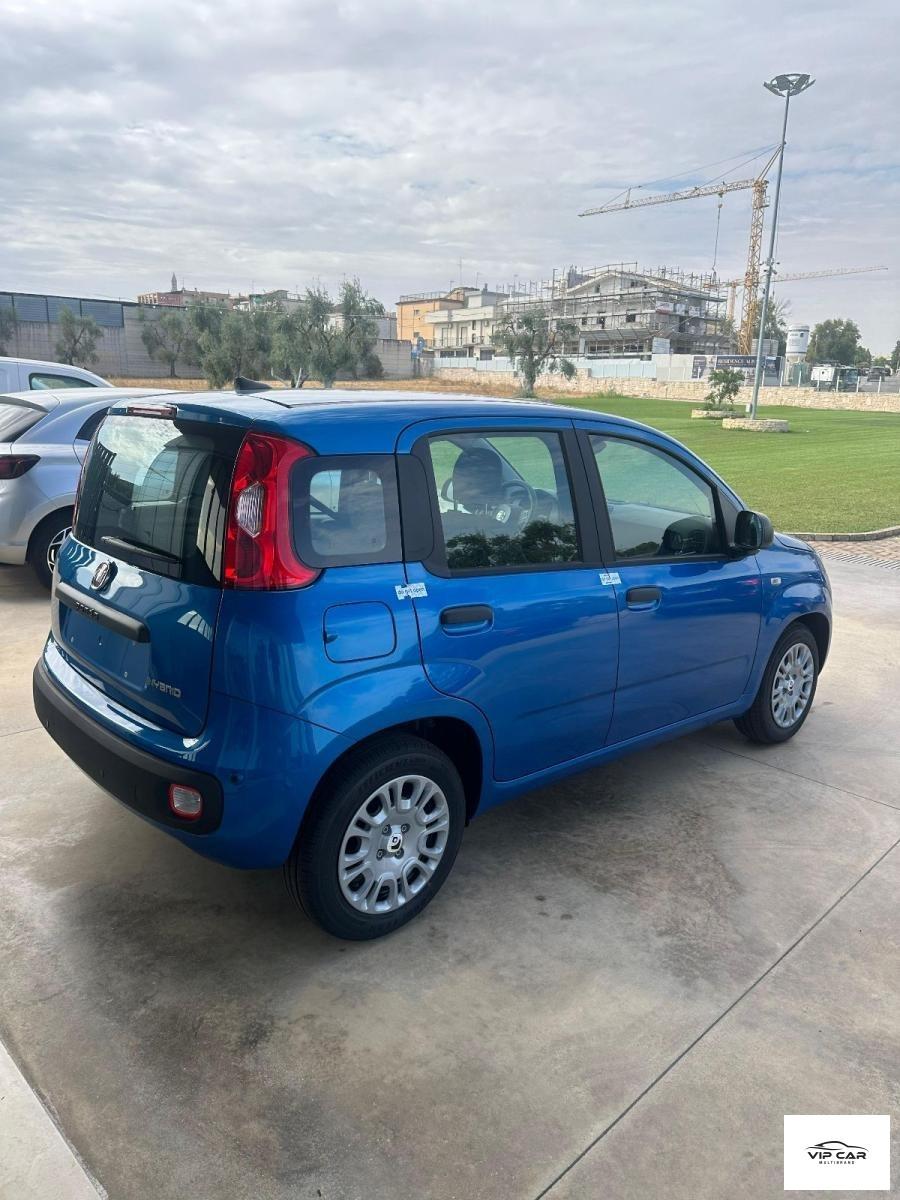 FIAT - Panda - 1.0 FireFly S&S Hybrid Launch Ed.