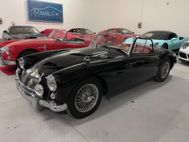 Mg MGA