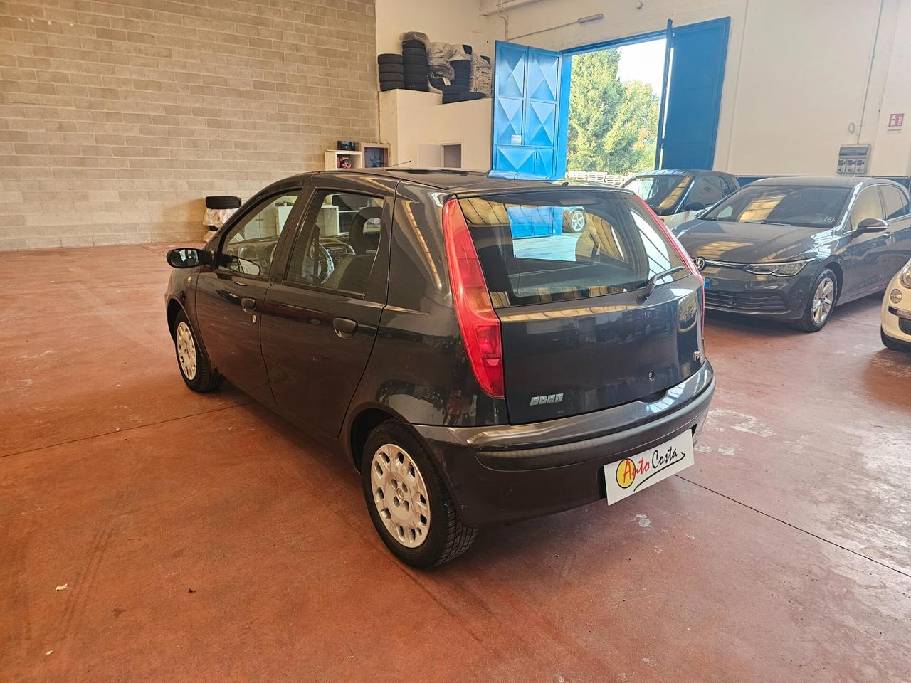 Fiat Punto 1.2i cat 5 porte Verve NEOPATENTATI