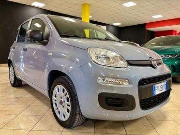 FIAT Panda 1.2 Easy UNIPRO -IVA ESPOSTA -5 POSTI -OK NEOPATAT