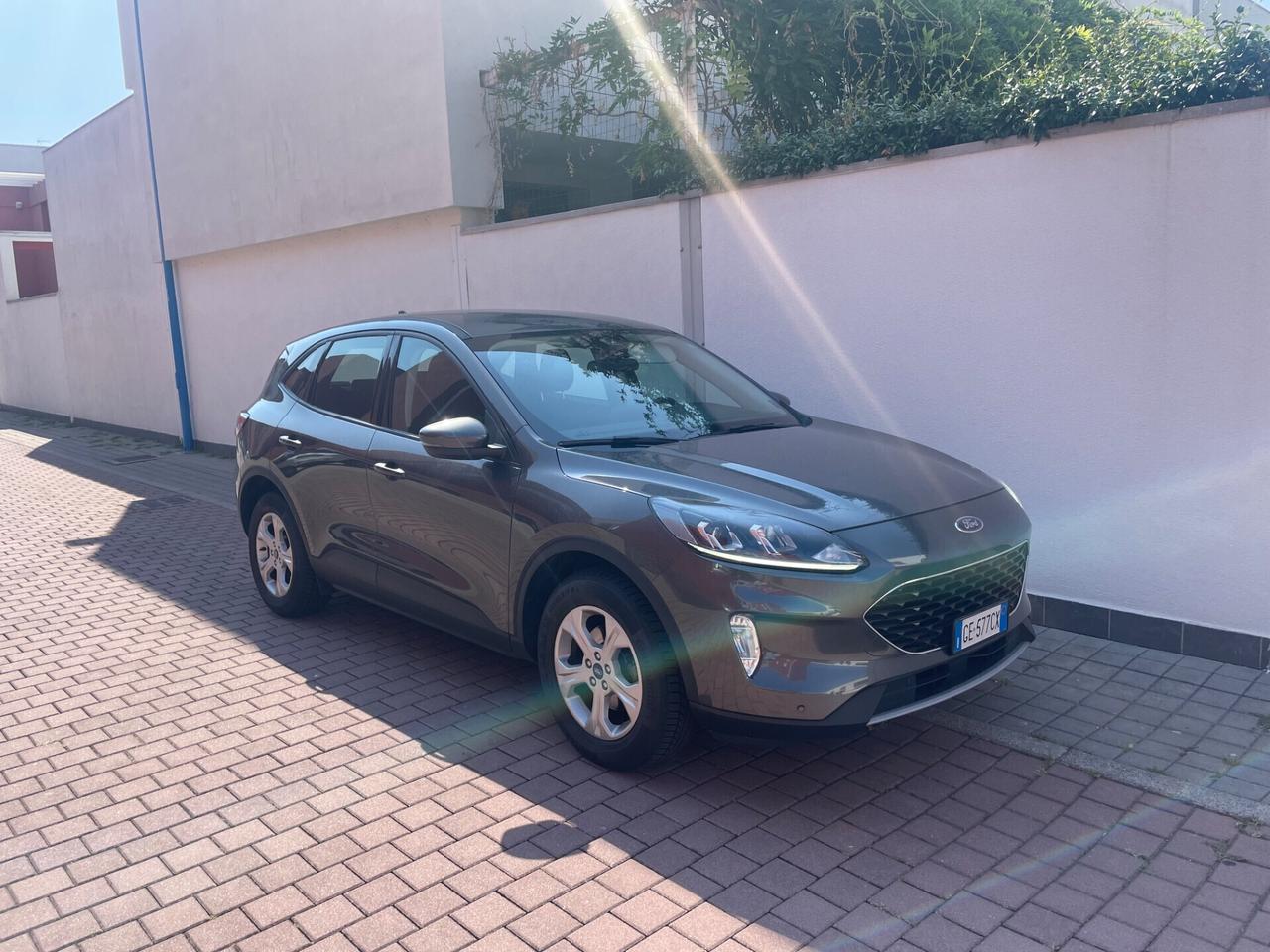 Ford Kuga 1.5 EcoBlue 120 CV 2WD Titanium