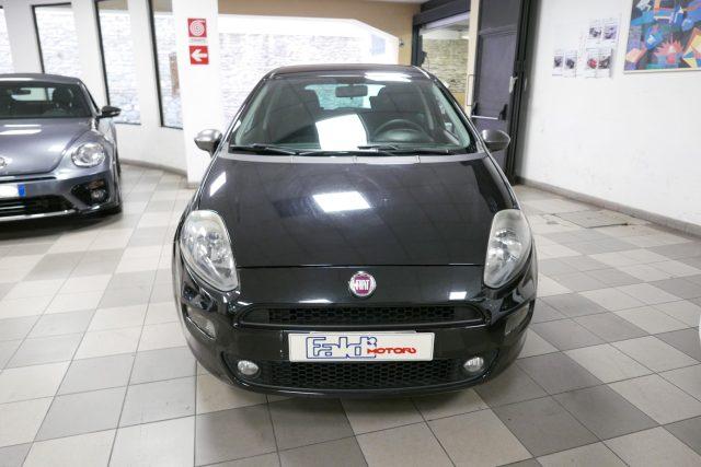 FIAT Punto 1.4 8V 5 porte Easypower Young