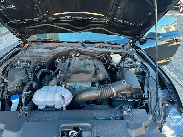 Ford Mustang Fastback 2.3 EcoBoost 317 cv kit shelby