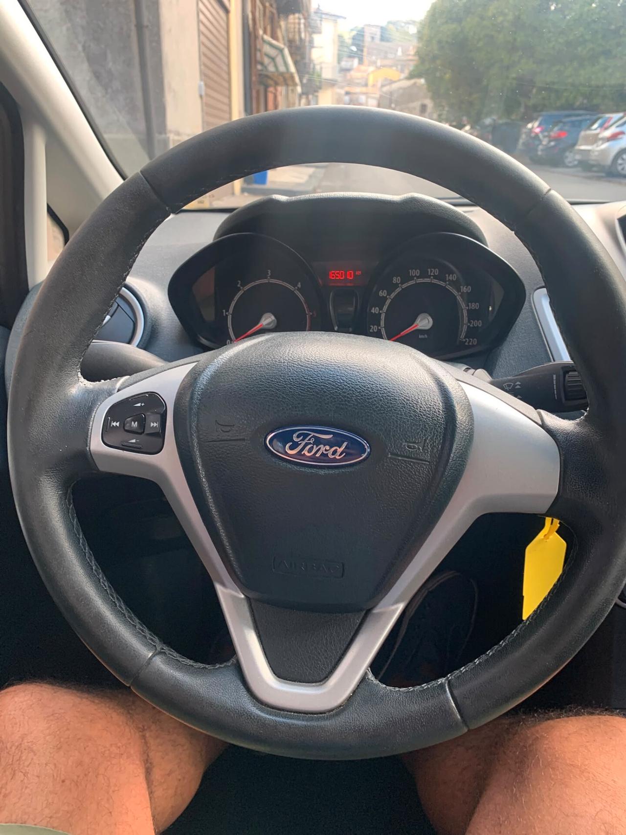 Ford Fiesta Ikon 1.4 TDCi 70CV 5p. Business