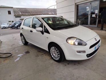 Fiat Punto 1.3 MJT II S&S 95 CV 5 porte Street