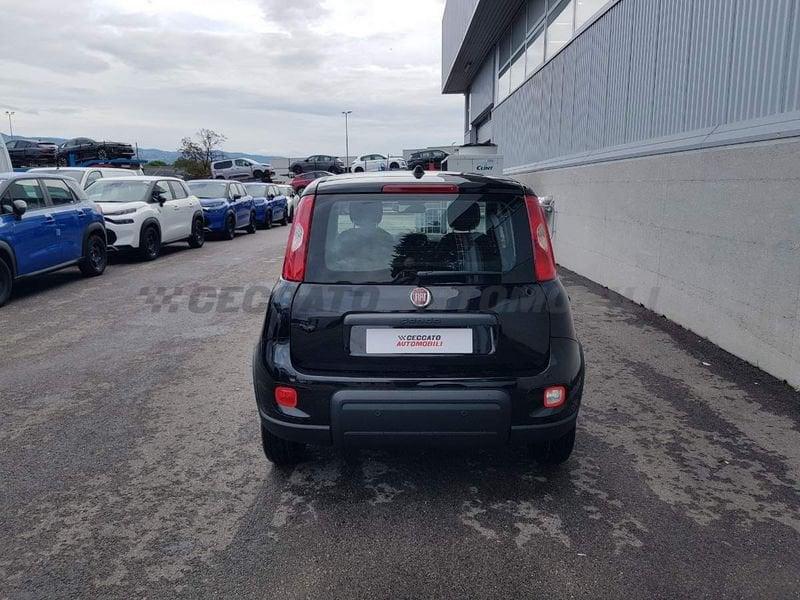 FIAT Panda Panda 1.0 70cv Hybrid Panda