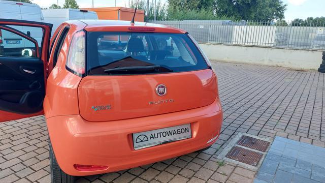 FIAT Punto 1.4 8V 5 porte Natural Power Young