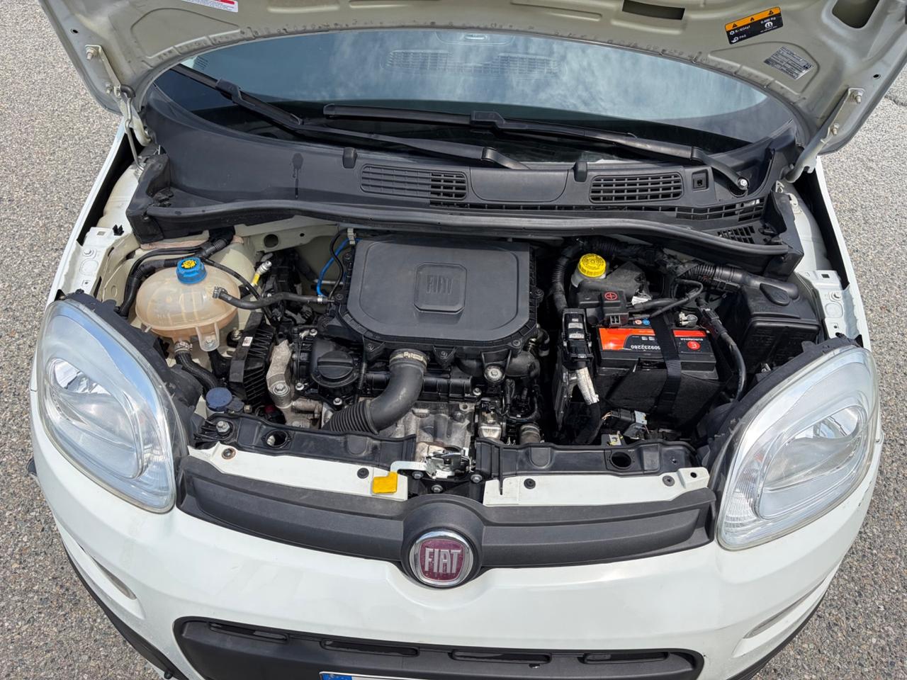 Fiat Panda 1.0 GSE S&S Hybrid Pop Van 2 posti