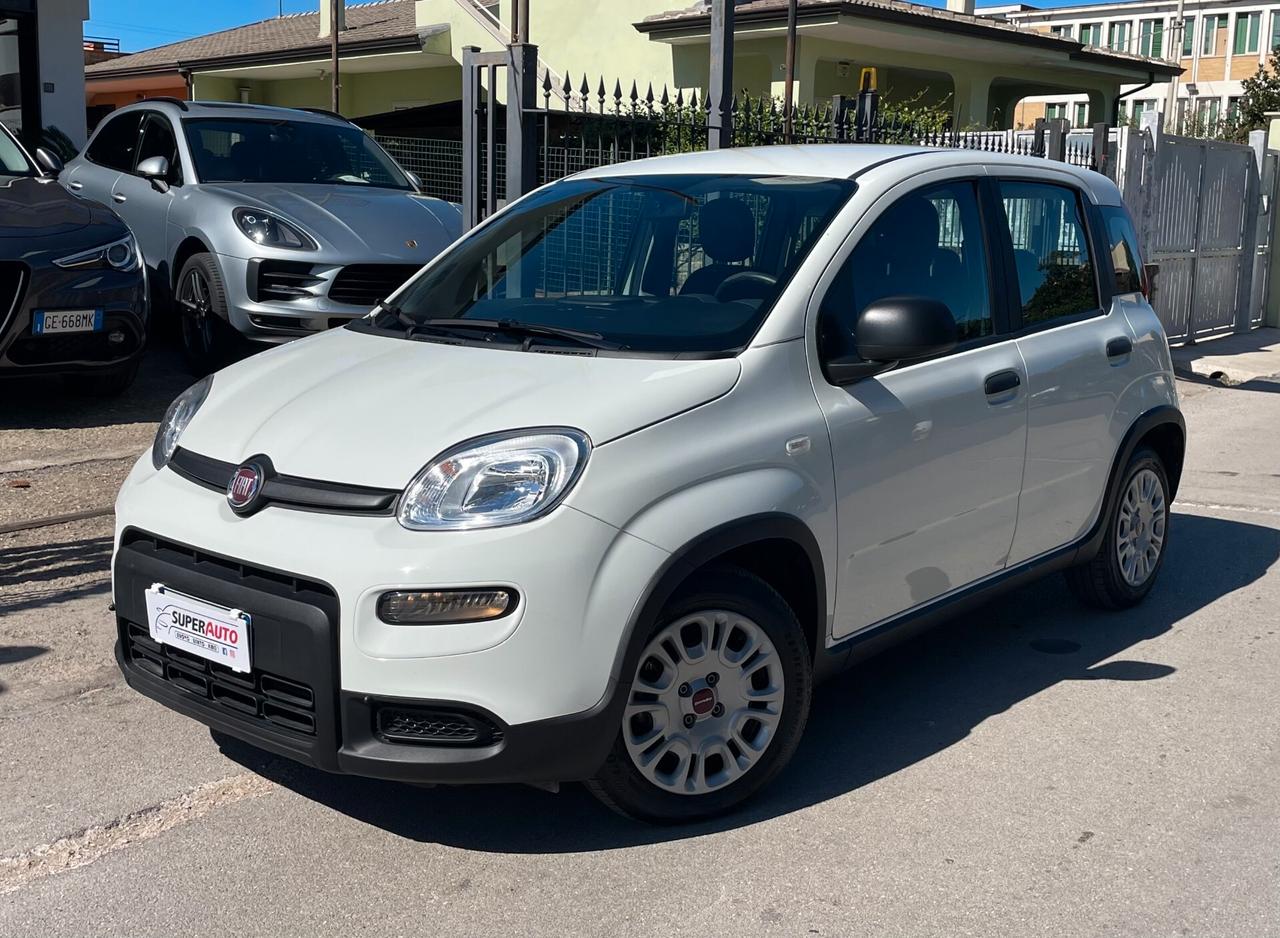 FIAT Panda 1.0 FireFly 70CV S&S HYBRID