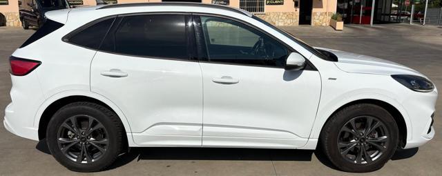 FORD Kuga 2.5 Full Hybrid 190 CV 2WD ST-Line