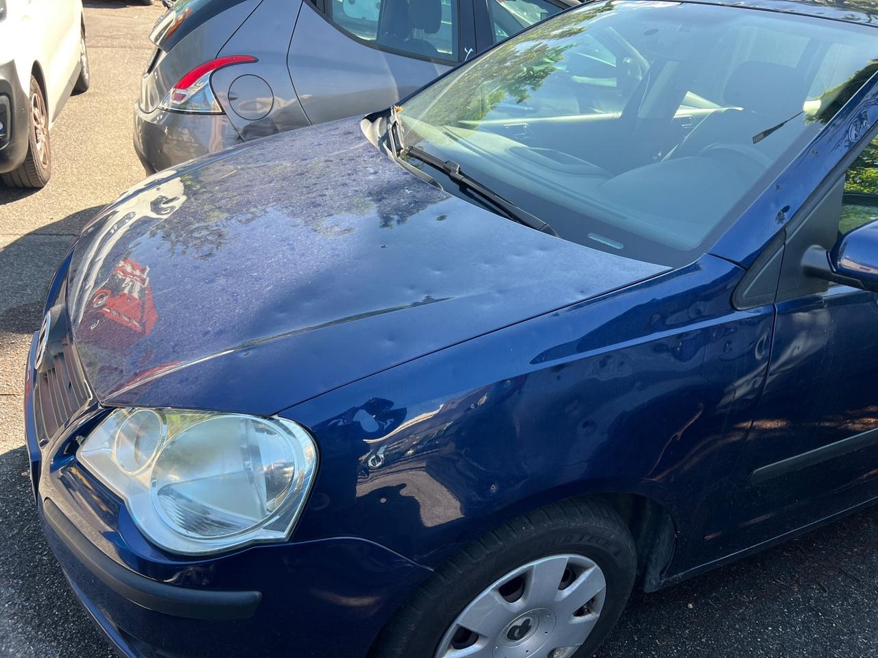 Volkswagen Polo GRANDINATA