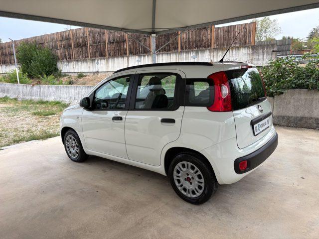 FIAT Panda 1.2 Easy EURO 6 5 POSTI OK NEOPATENTATI