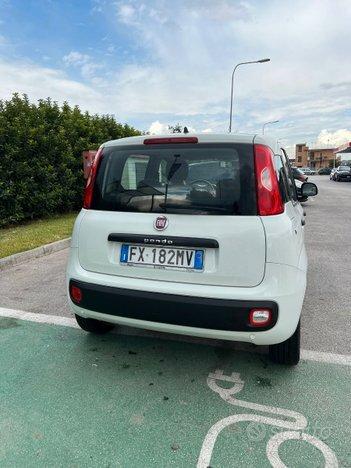 Fiat Panda easy