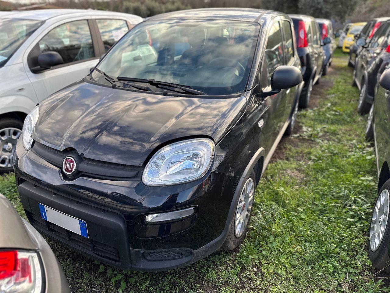 FIAT Panda III 2021 - Panda 1.0 firefly hybrid s&s 70cv 5p.ti