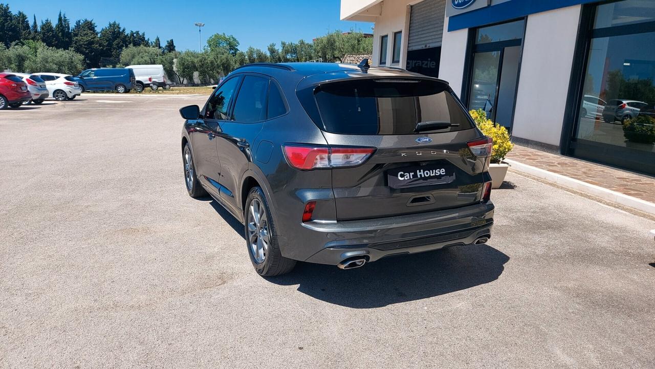 Ford Kuga 1.5 EcoBlue 120 CV 2WD ST-Line