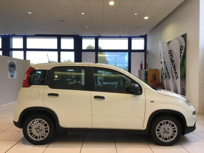 FIAT Panda S7 1.0 FireFly Hybrid - ECOBONUS SETTEMBRE EURO 0-2