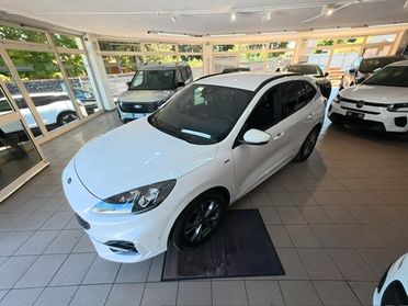 Ford Kuga 1.5 EcoBlue 120 CV aut. 2WD ST-Line X