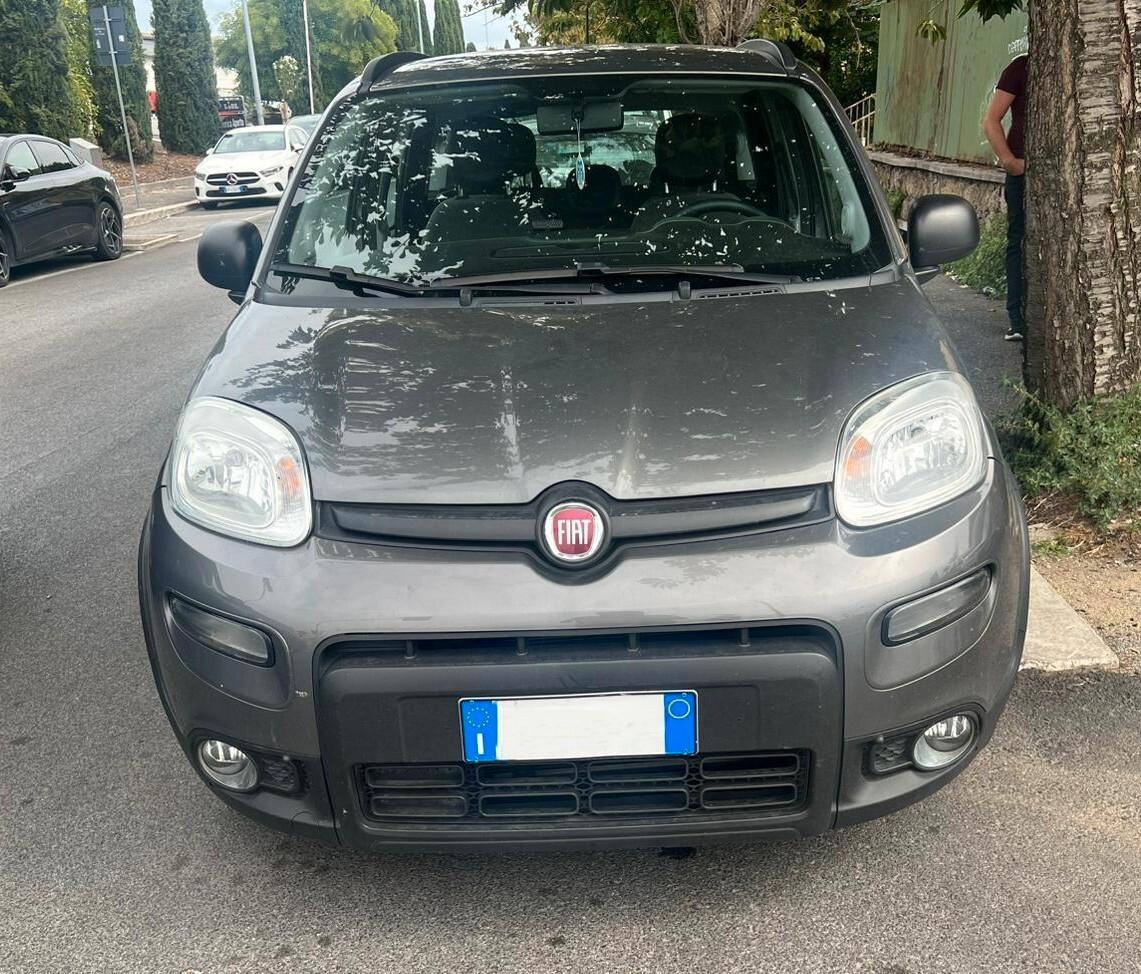 Fiat Panda 1.0 FireFly S&S Hybrid