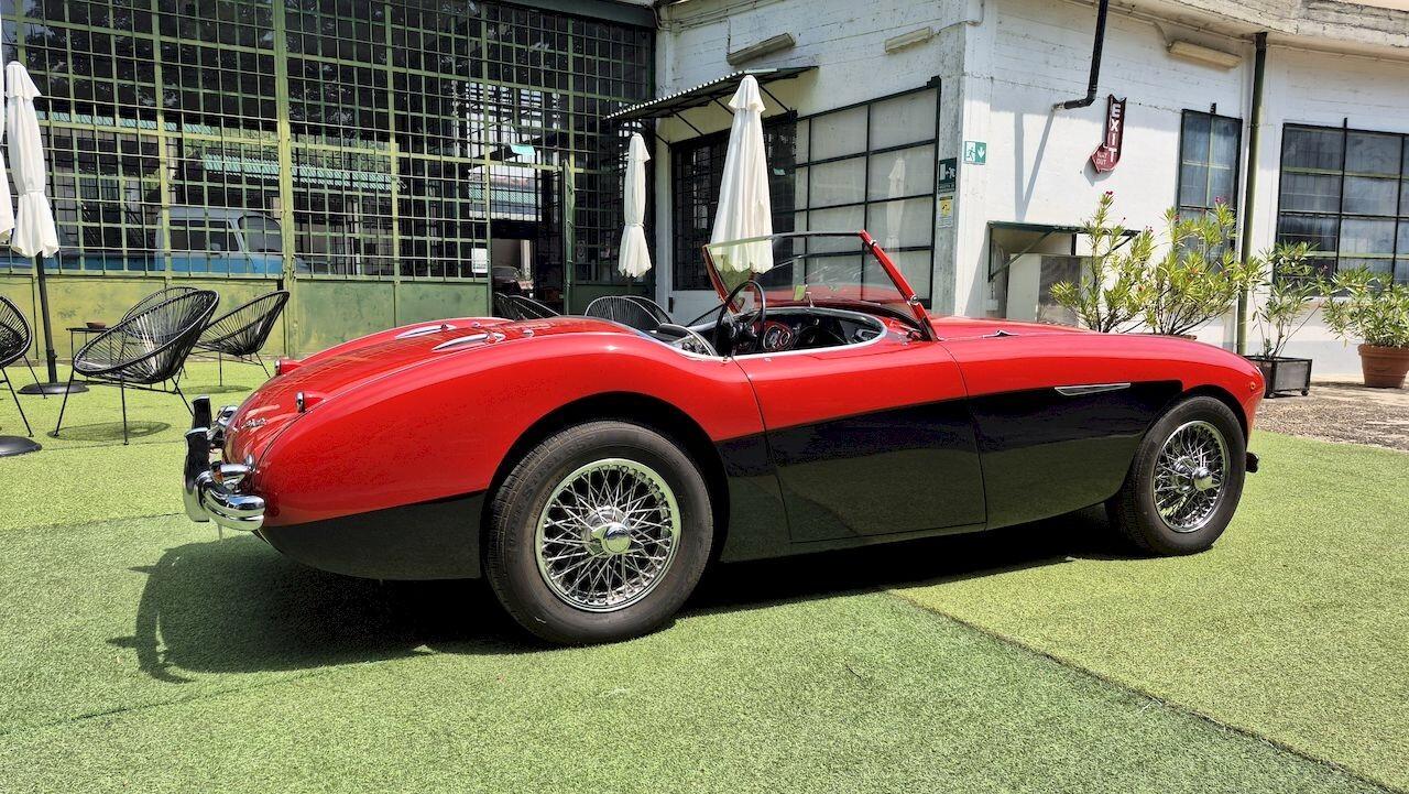 Austin-Healey 100 BN1 – 1954 - SUMMER PRICE