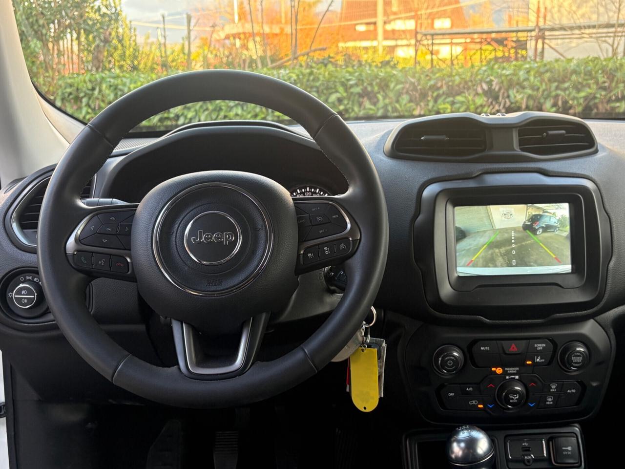 Jeep Renegade 1.6 Mjt 130 CV Limited