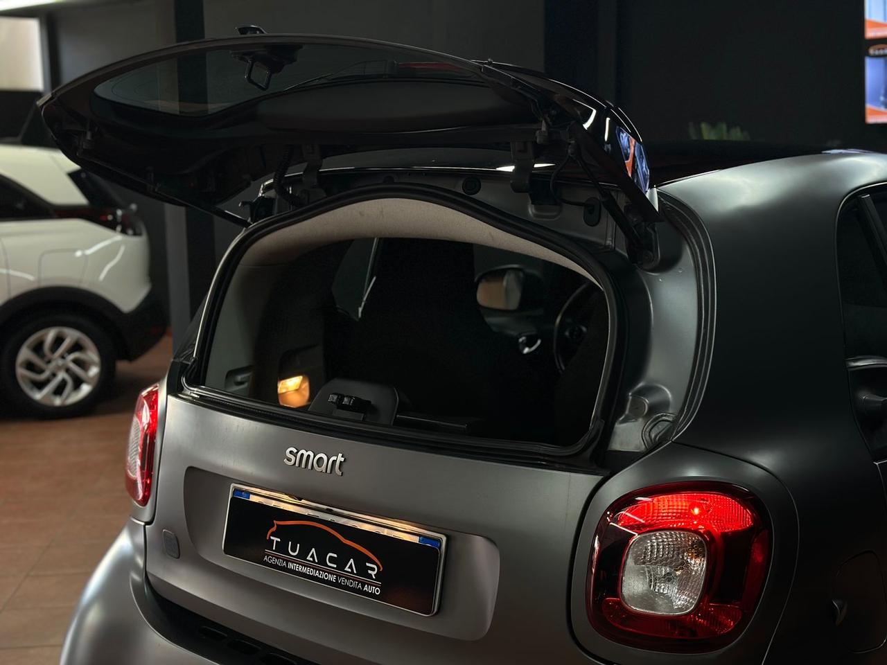 Smart ForTwo EQ Pulse #10746