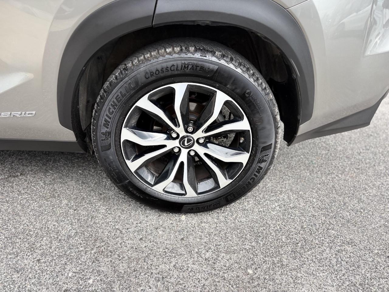 Lexus NX 2.5 Hybrid F-sport 155CV E6 - 2014