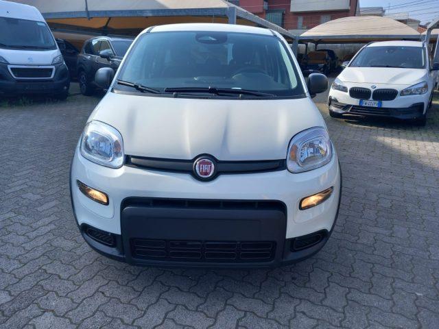 FIAT Panda 1.0 FireFly S&S Hybrid con ADAS Pack