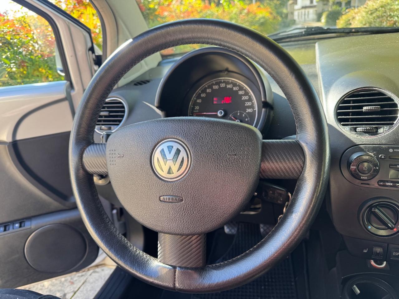Volkswagen New Beetle 1.9 TDI 105CV