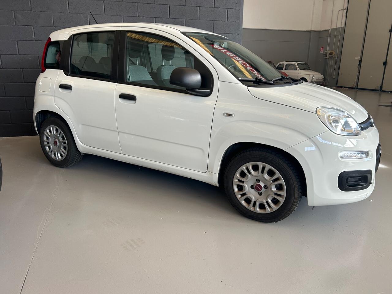 Fiat Panda easy varie Panda 5p