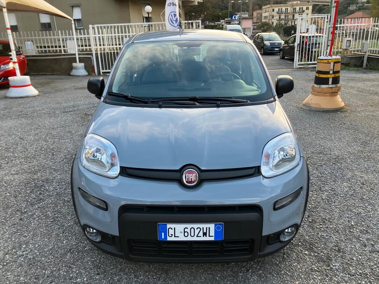 Fiat Panda 1.0 FireFly S&S Hybrid Allestim. Confort Plus