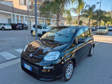 Fiat Panda 1.0 FireFly S&S Hybrid Red