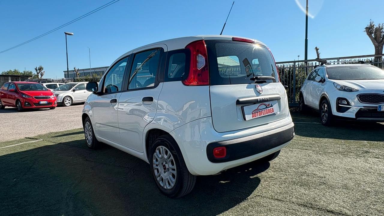 Fiat Panda 1.2 312PXA1A | BENZINA| 169A4000 CC 1242 CV 69 KW 51 BERLINA, 5 P.