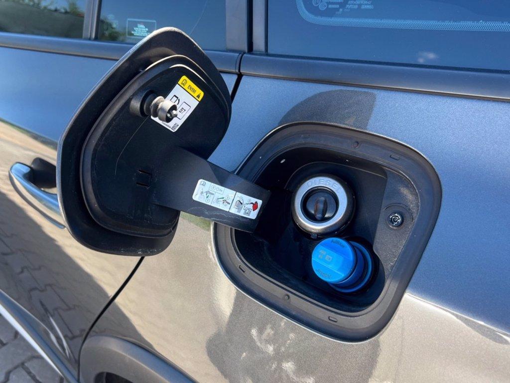 FORD Focus 1.5 EcoBlue 120 CV aut. SW Active Design del 2022