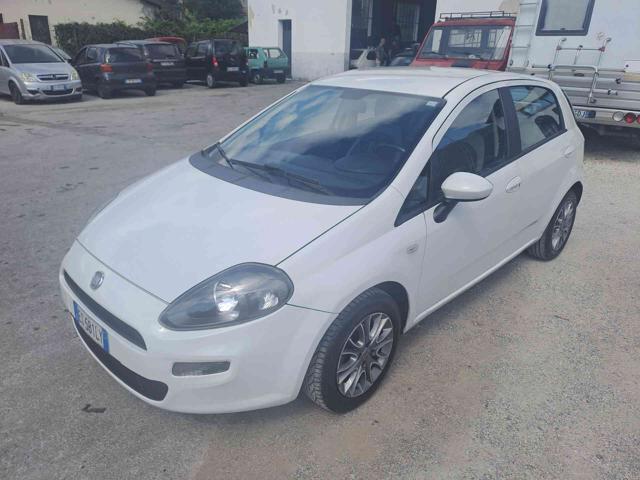 FIAT Punto 1.2 8V 5 porte Lounge