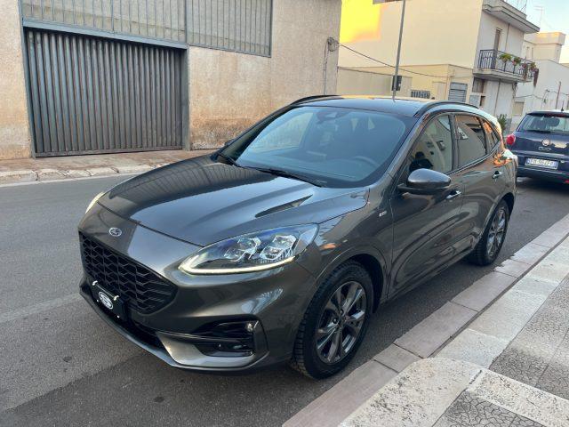 FORD Kuga 1.5 EcoBlue 120 Aut. ST-Line X