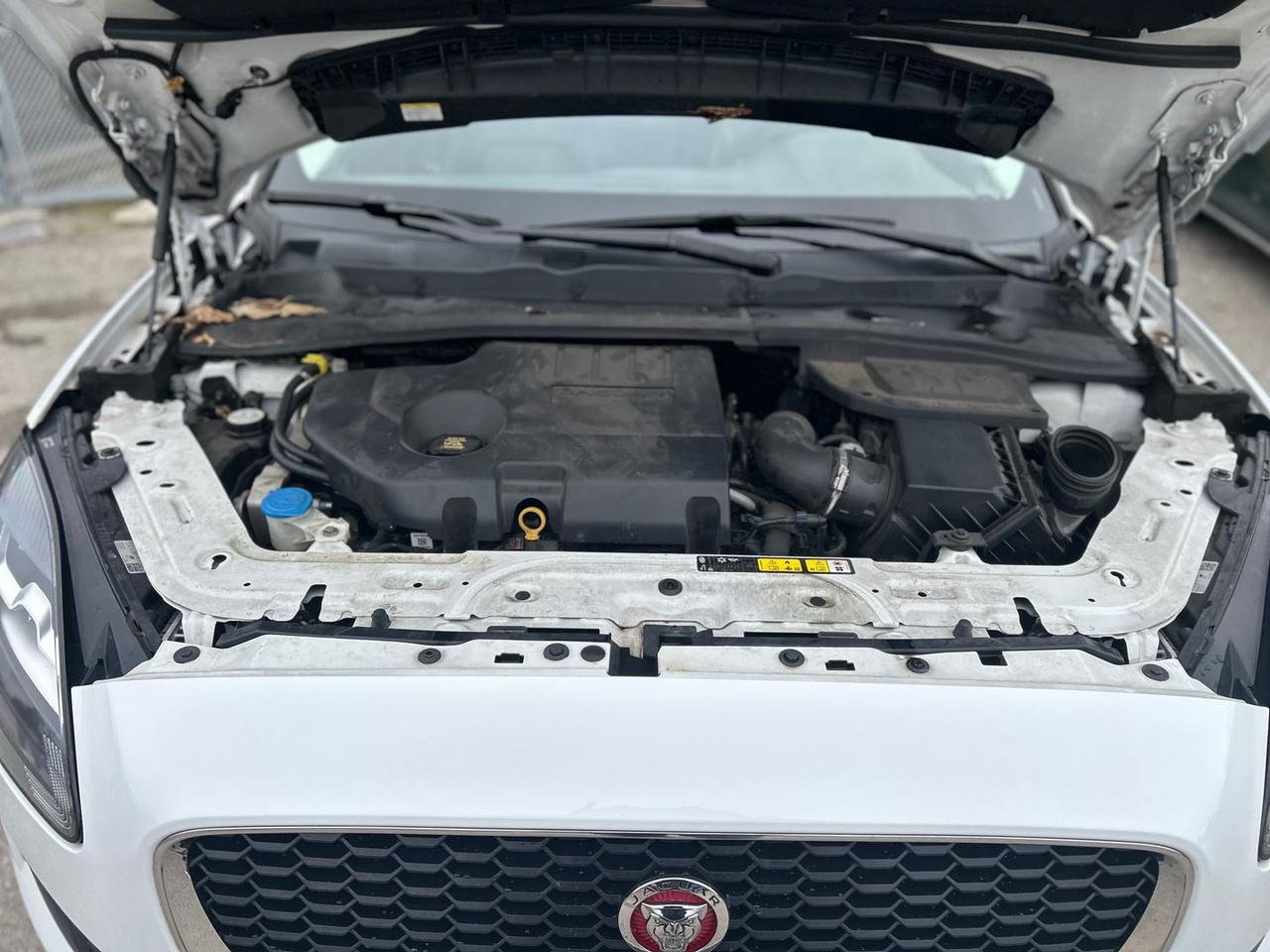 Jaguar E-Pace R-Dynamic S D 150 #8841